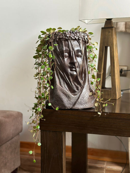 Figura con Peperomia Pepperspot en sustrato Premium