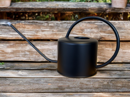 Regadera inoxidable Negra