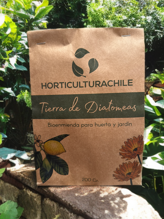 Tierra de diatomeas