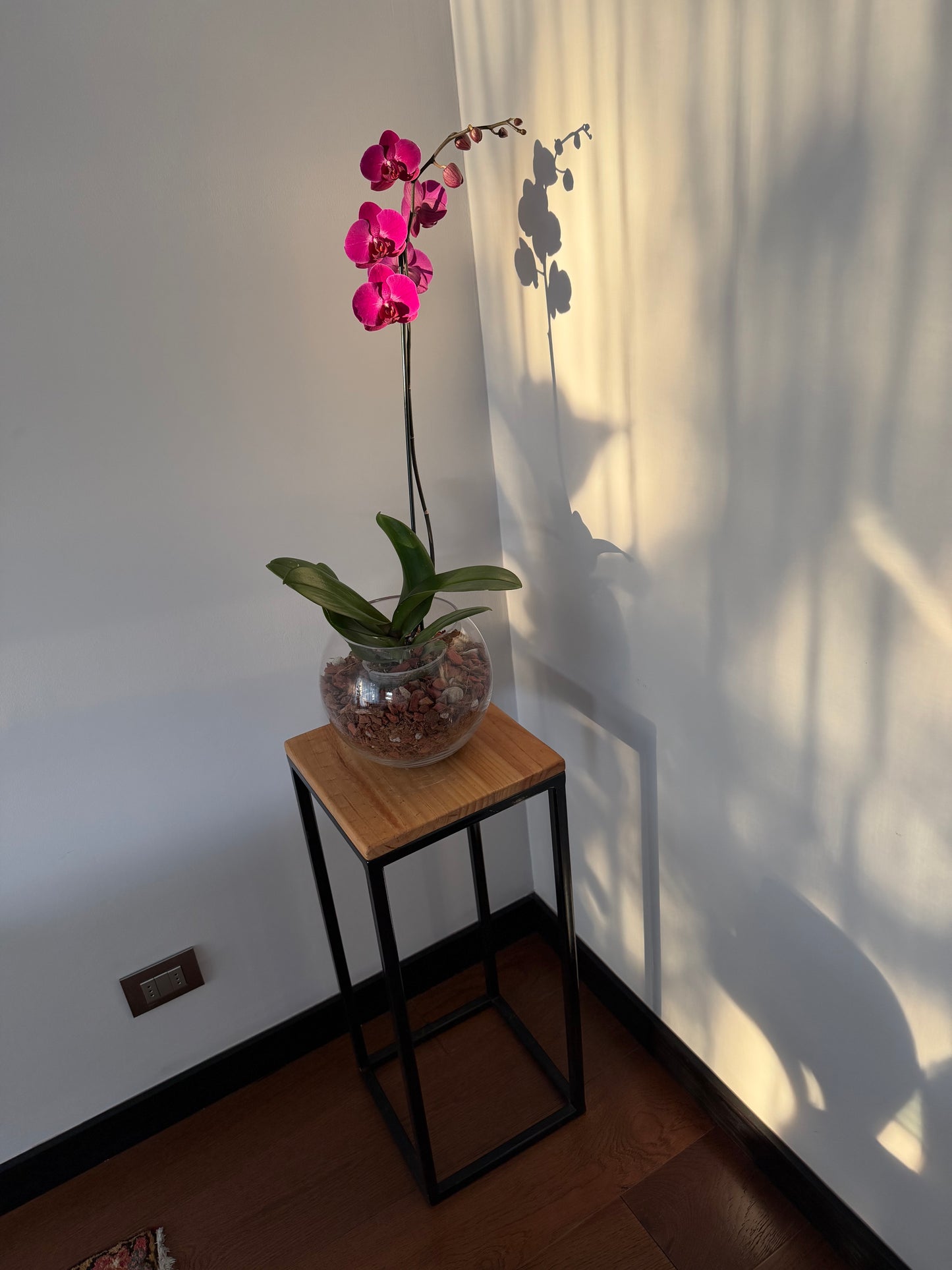 Pedestal
