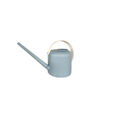 Regadera Decorativa 1L
