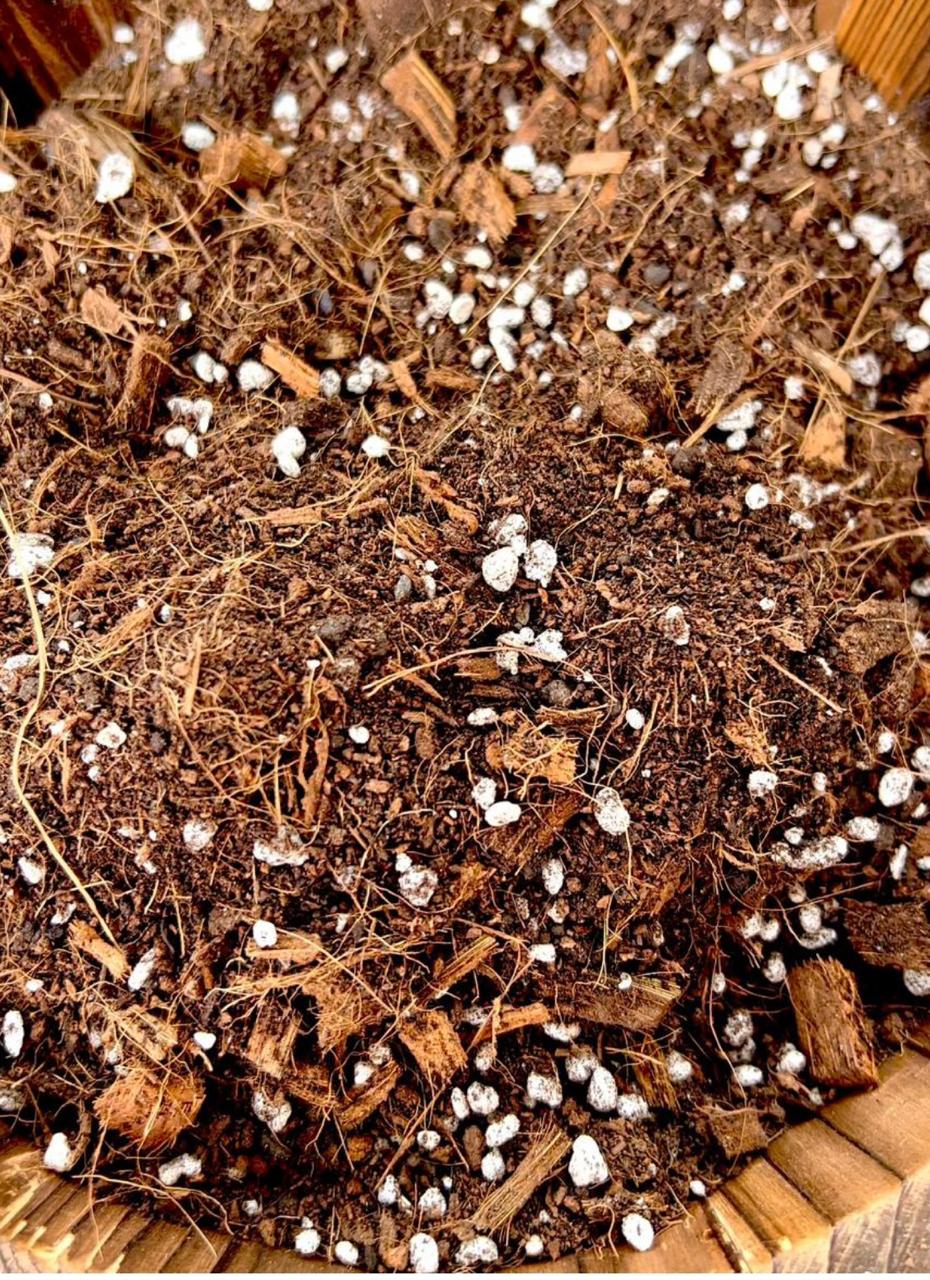 Sustrato Premium para Plantas de Interior y Tropicales