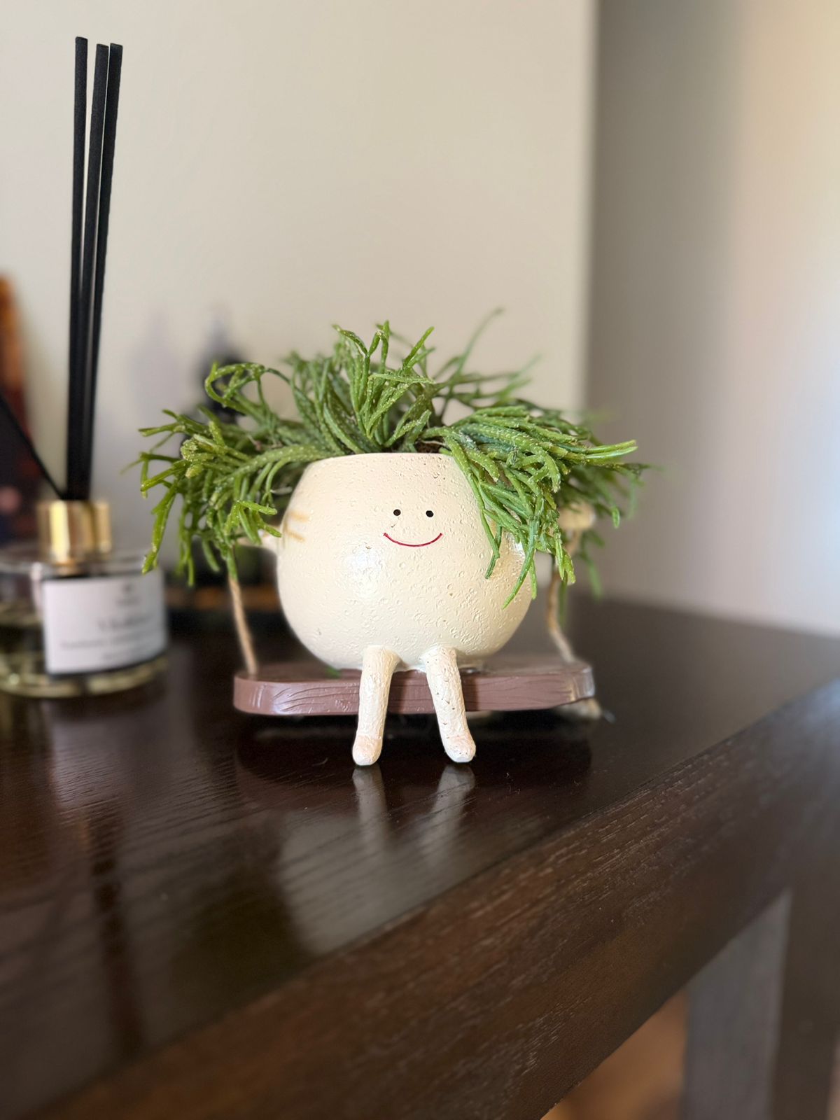 Rhipsalis en macetero decorativo